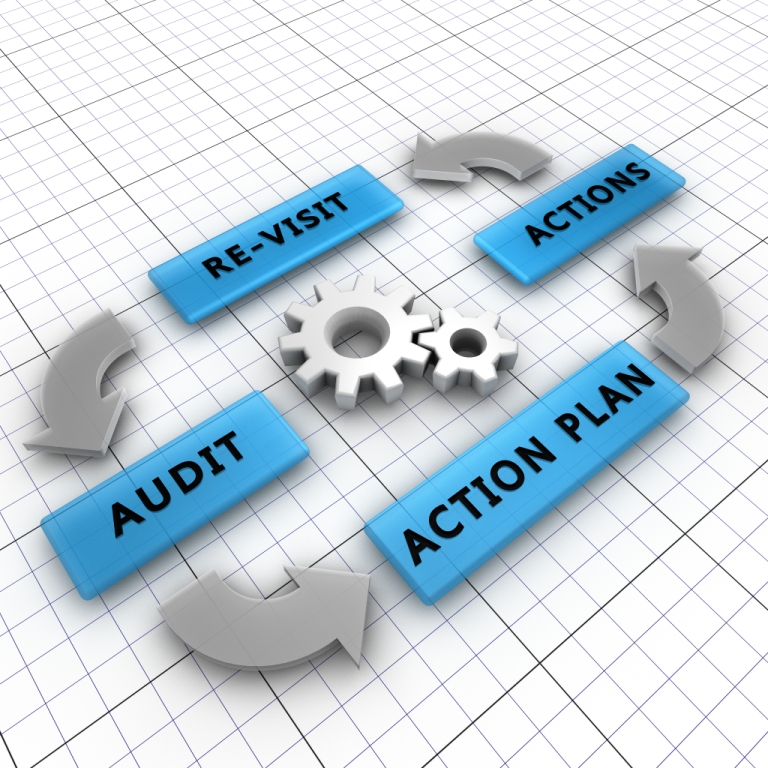 HR Audit - The audit process